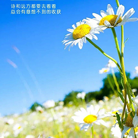 出差路上咳嗽、感冒、頭疼，超負(fù)荷工作用“精油+十三推”竟然也能輕松駕馭
